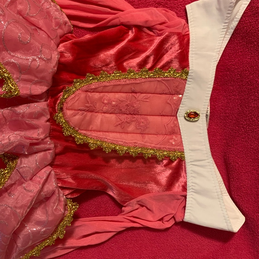Princess Dress